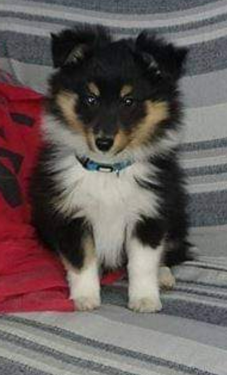 Screenshot_20240104_201100_Facebook